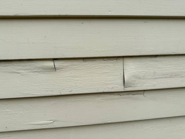 Best Vinyl Siding Installation  in North Merrick, NY